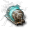 Warp Disruptor